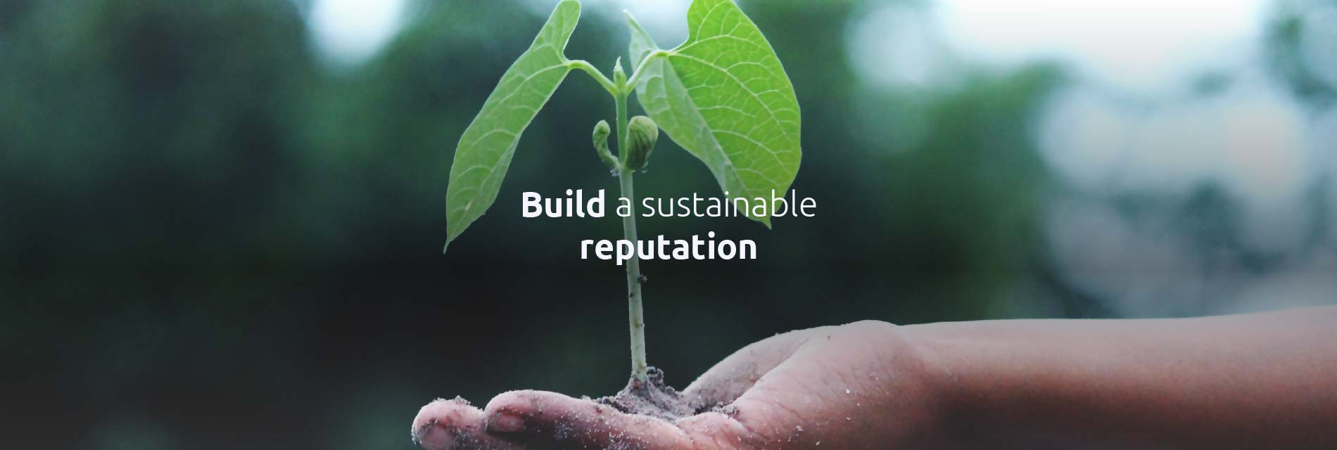 Build a sustainable reputation
